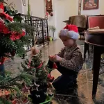 Casa Leone Affittacamere Timisoara