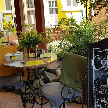 Casa Leone بيت ضيافة تيميشورا