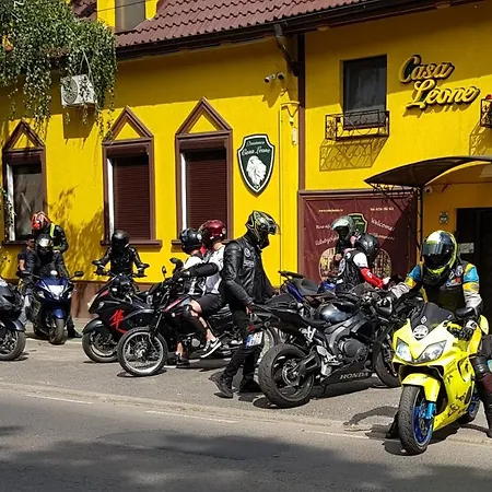 Casa Leone بيت ضيافة