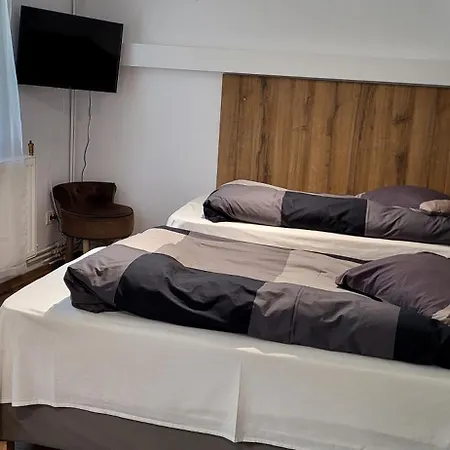 Casa Leone Timisoara