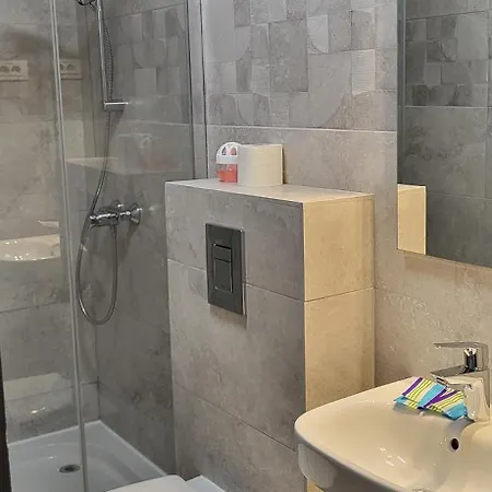 Casa Leone بيت ضيافة تيميشورا