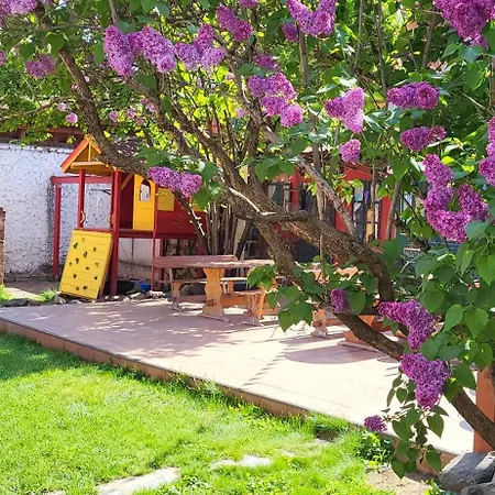 Casa Leone Affittacamere Timisoara