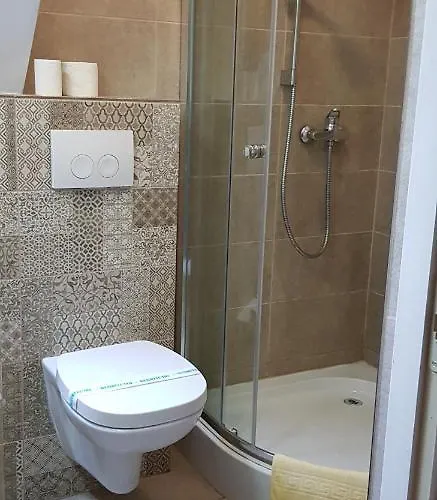 Casa Leone Тимишоара