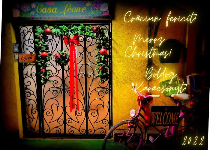 Гостевой дом Casa Leone Тимишоара