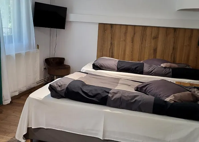 Casa Leone Timisoara