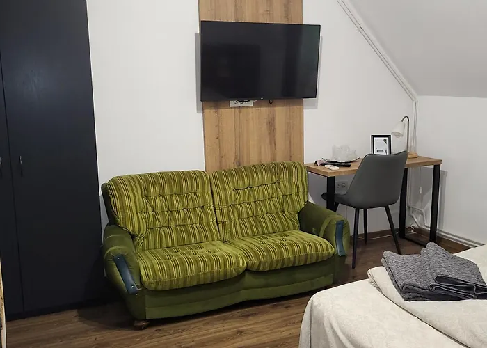 Casa Leone Guest house Timisoara