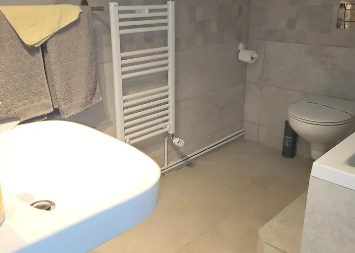 Casa Leone Timişoara