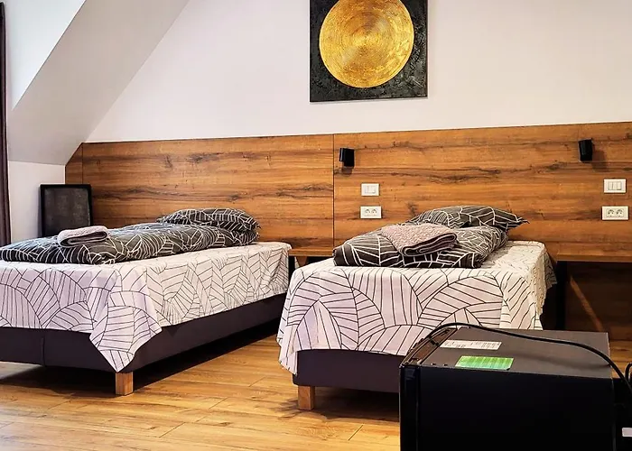 Casa Leone Тимишоара