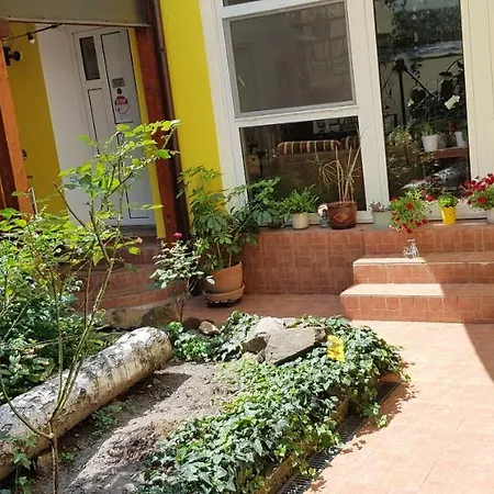 בית הארחה Casa Leone