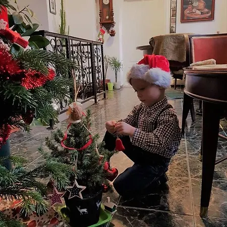 Casa Leone בית הארחה טימישוארה