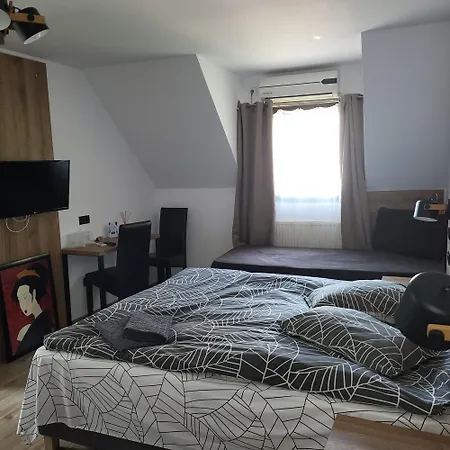 Casa Leone 3* טימישוארה