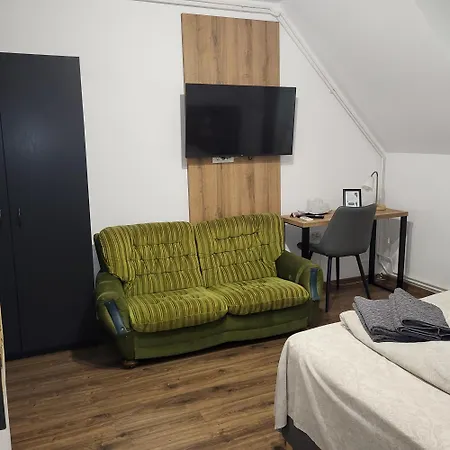 Casa Leone בית הארחה טימישוארה