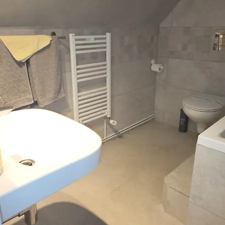Casa Leone Timişoara