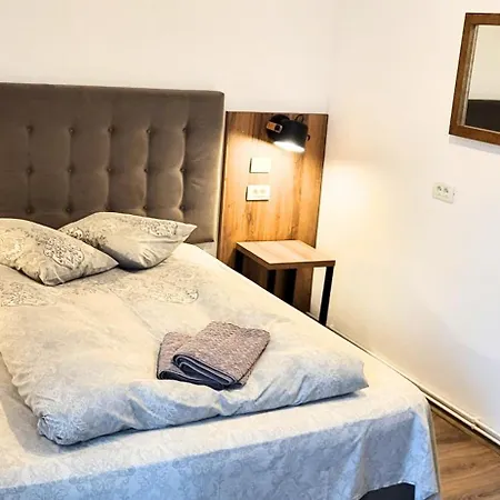 Casa Leone 3* Temešvár