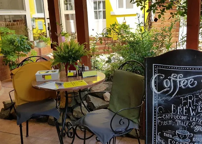 Casa Leone Penzion Temešvár