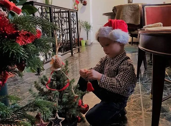 Casa Leone Penzion Temešvár