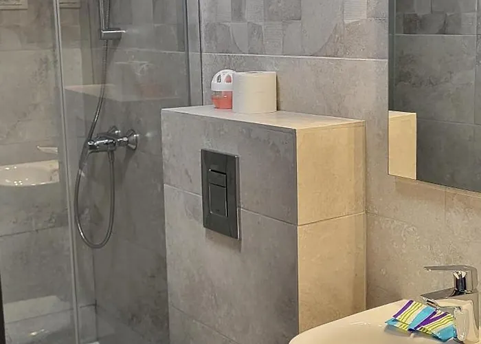 Casa Leone Penzion Temešvár