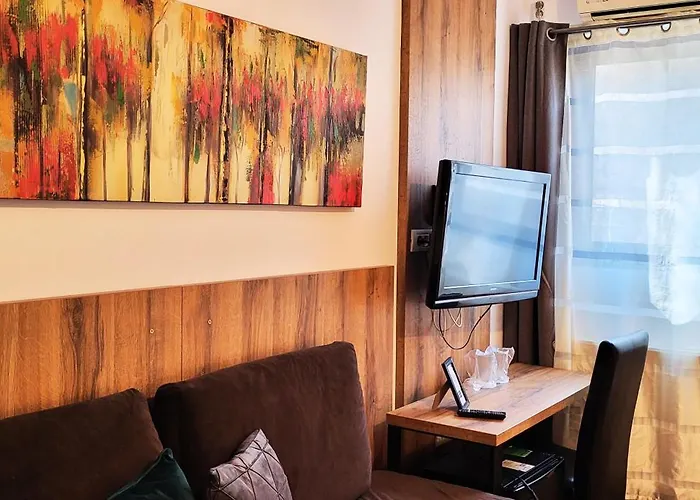 Casa Leone Penzion Temešvár